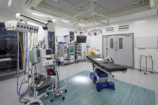 Orthopaedic Theatres, Newham University Hospital - BSP